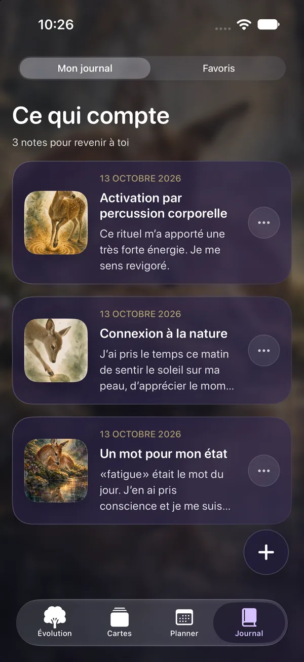 Journal avec notes après les rituels